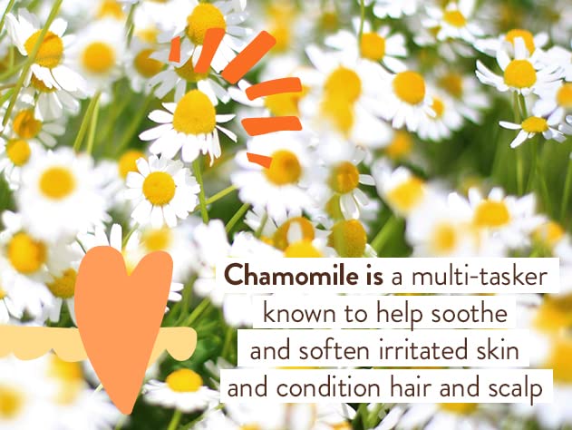 Babo Botanicals Sensitive Baby Fragrance-Free Diaper Cream - 25% Natural Zinc Oxide - Calendula, Shea & Cocoa Butter - EWG Verified - Vegan - 6