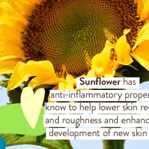 Babo Botanicals Sensitive Baby Mineral Sunscreen Lotion SPF50 - Natural Zinc Oxide - Face & Body - Fragrance-Free - Water-Resistant - EWG Verified - Vegan - Extra Sensitive Skin - For Babies & Kids - 4