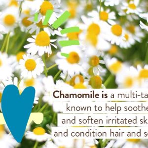 Babo Botanicals Sensitive Baby Mineral Sunscreen Lotion SPF50 - Natural Zinc Oxide - Face & Body - Fragrance-Free - Water-Resistant - EWG Verified - Vegan - Extra Sensitive Skin - For Babies & Kids - 5