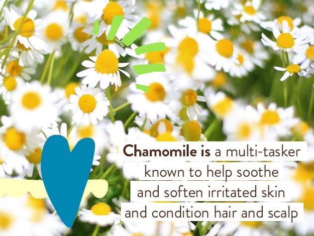 Babo Botanicals Sensitive Baby Mineral Sunscreen Lotion SPF50 - Natural Zinc Oxide - Face & Body - Fragrance-Free - Water-Resistant - EWG Verified - Vegan - Extra Sensitive Skin - For Babies & Kids - 5