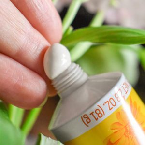 Weleda Baby Calendula Diaper Cream, 2.8 Fluid Ounce, Plant Rich Protection with Calendula, Chamomile, Sweet Almond Oil, Lanolin and Zinc Oxide - 6