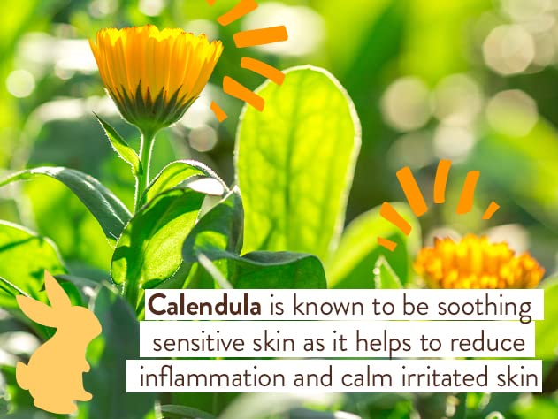 BABO Botanicals Moisturizing Oat & Calendula Body Lotion – Lightly Scented Hydration for Dry or Sensitive Skin – Gentle for Baby, Toddler, Kids & Family – Vegan – 1 or 2 Pack - 4