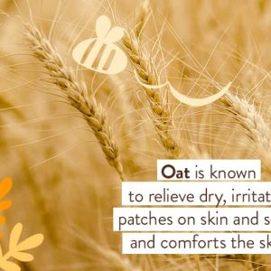 BABO Botanicals Moisturizing Oat & Calendula Body Lotion – Lightly Scented Hydration for Dry or Sensitive Skin – Gentle for Baby, Toddler, Kids & Family – Vegan – 1 or 2 Pack - 5